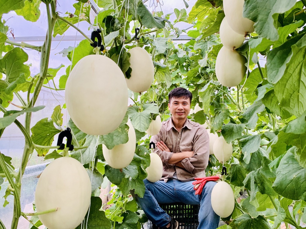 Lại Văn Song, chuyên gia nông nghiệp công nghệ cao